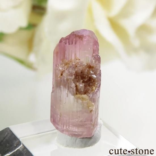 アメリカ カリフォルニア産 バイカラートルマリンの結晶（原石） 0.8g