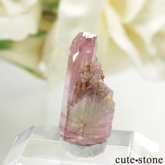 カリフォルニア州ヒマラヤ鉱山のトライカラートルマリン結晶 アメリカ カリフォルニア産 バイカラートルマリンの結晶（原石