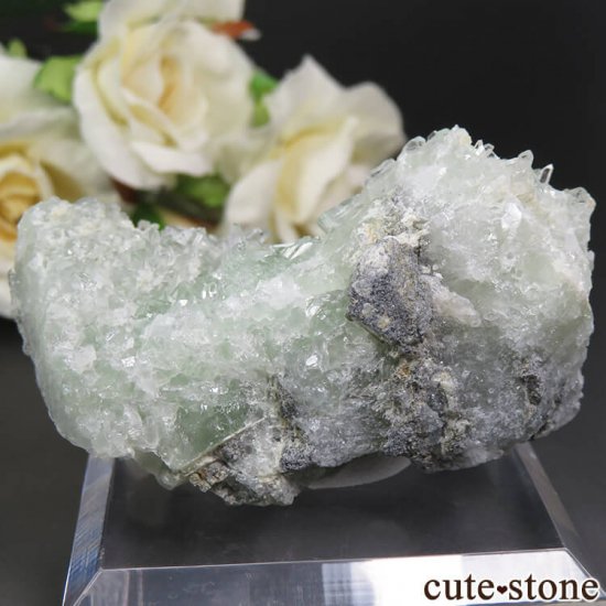  ʻ ե饤ȡĤդ뾽ʸС85.5gμ̿0 cute stone