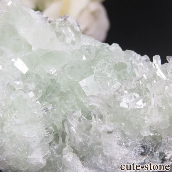  ʻ ե饤ȡĤդ뾽ʸС85.5gμ̿1 cute stone