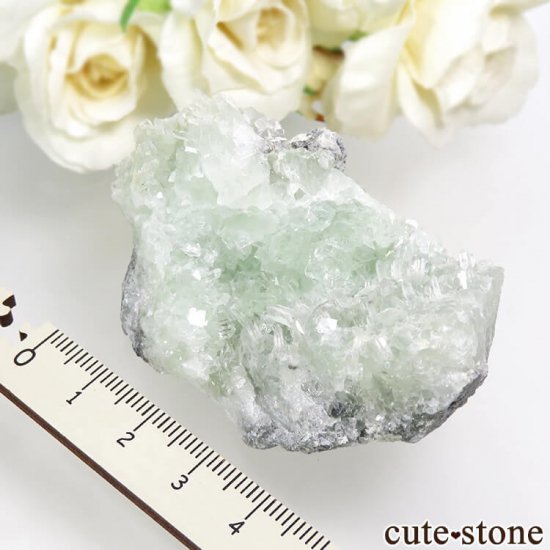  ʻ ե饤ȡĤդ뾽ʸС85.5gμ̿2 cute stone