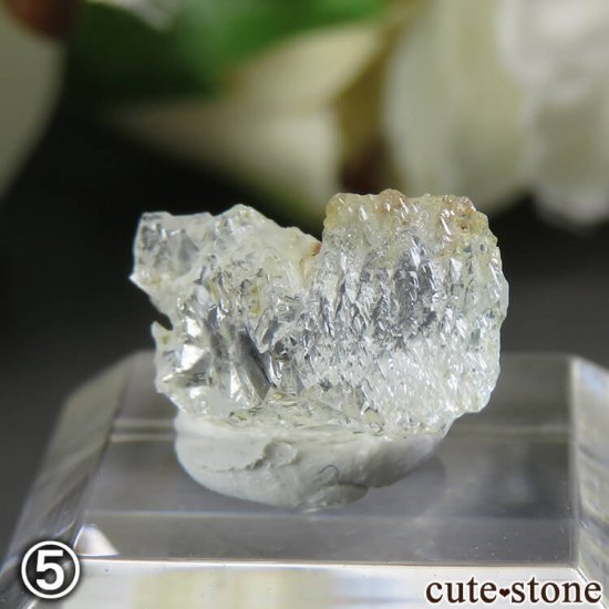 ѥ Stak Nala ޥη뾽 5ĥåȤμ̿3 cute stone