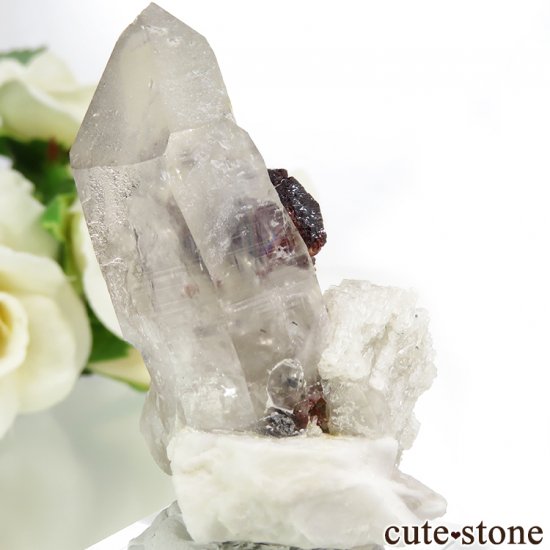 ѥ ڥƥ󥬡ͥåȡĤη뾽ʸС57.4gμ̿1 cute stone