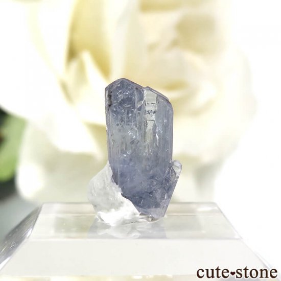 ˻ 󥶥ʥȤη뾽ʸС0.3gμ̿1 cute stone
