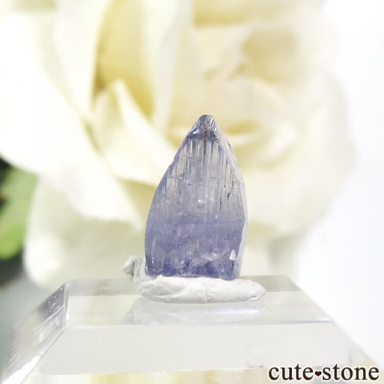 ˻ 󥶥ʥȤη뾽ʸС0.3gμ̿2 cute stone
