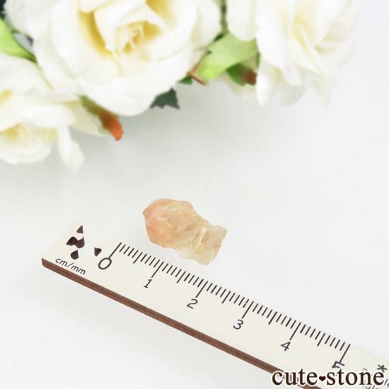 쥴󥵥󥹥ȡθ 1.7gμ̿1 cute stone