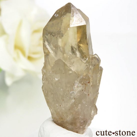󥴻 ŷȥη뾽ʸС9.2gμ̿0 cute stone