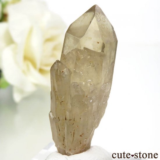 󥴻 ŷȥη뾽ʸС9.2gμ̿1 cute stone