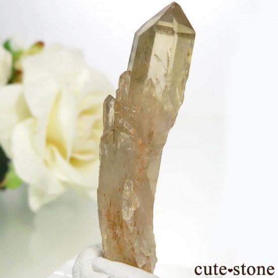 󥴻 ŷȥη뾽ʸС7.7gμ̿1 cute stone