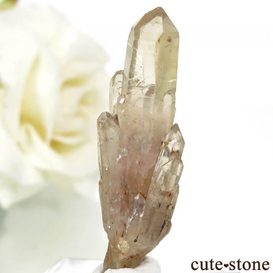 󥴻 ŷȥη뾽ʸС3.9gμ̿0 cute stone