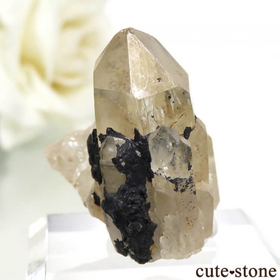 󥴻 ŷȥη뾽ʸС10.7gμ̿0 cute stone