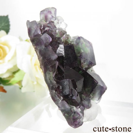 ʥߥӥ Okorusu Mine꡼ߥѡץե饤Ȥθ 60gμ̿0 cute stone