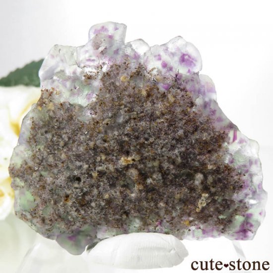 ʥߥӥ Okorusu Mine꡼ߥѡץե饤Ȥθ 60gμ̿1 cute stone