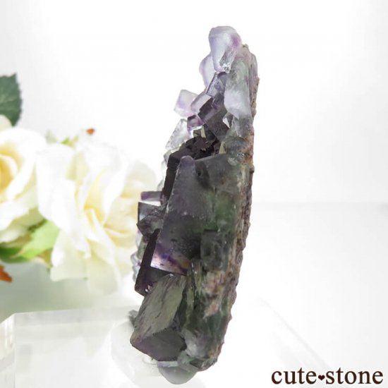 ʥߥӥ Okorusu Mine꡼ߥѡץե饤Ȥθ 60gμ̿2 cute stone