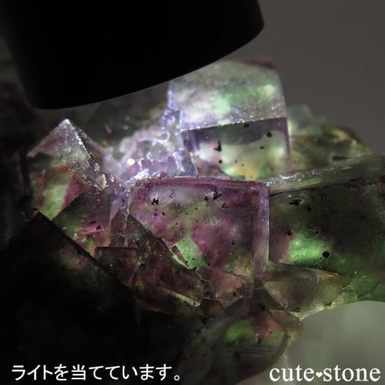 ʥߥӥ Okorusu Mine꡼ߥѡץե饤Ȥθ 60gμ̿6 cute stone