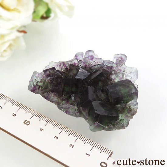 ʥߥӥ Okorusu Mine꡼ߥѡץե饤Ȥθ 60gμ̿7 cute stone