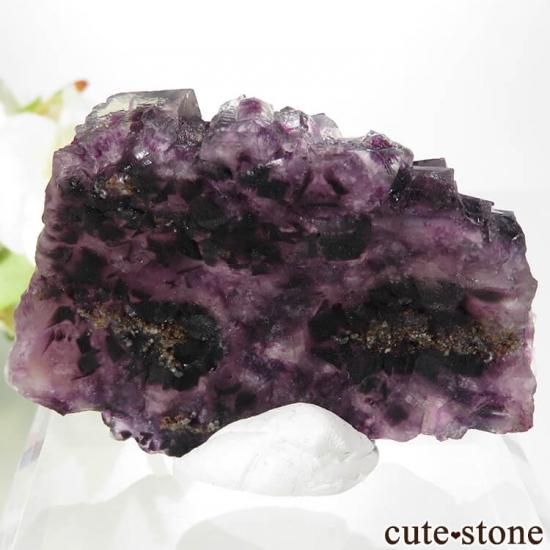 ʥߥӥ Okorusu Mineѡץե饤Ȥθ 61gμ̿1 cute stone