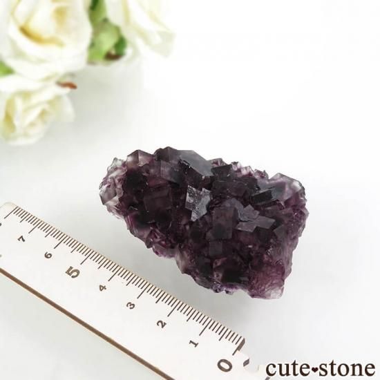 ʥߥӥ Okorusu Mineѡץե饤Ȥθ 61gμ̿6 cute stone