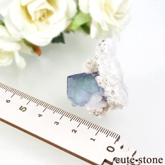 䥪󥷥 ֥롼ե饤 21.8gμ̿3 cute stone