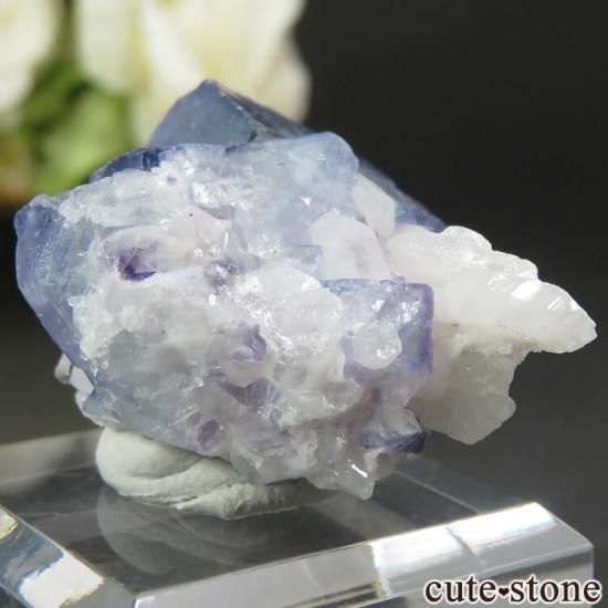 䥪󥷥 ֥롼ե饤 17.2gμ̿1 cute stone