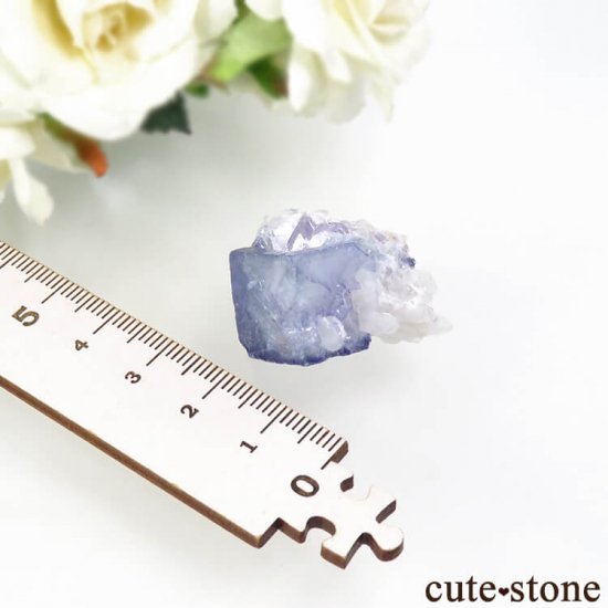 䥪󥷥 ֥롼ե饤 17.2gμ̿5 cute stone