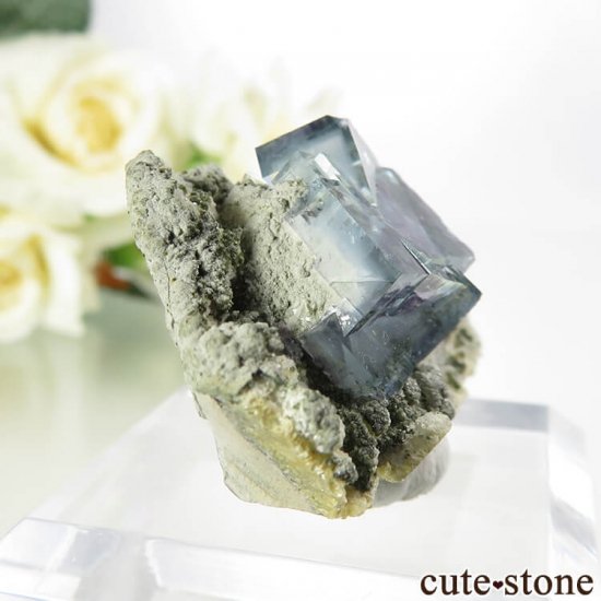 䥪󥷥 ֥롼ե饤 13.6gμ̿0 cute stone