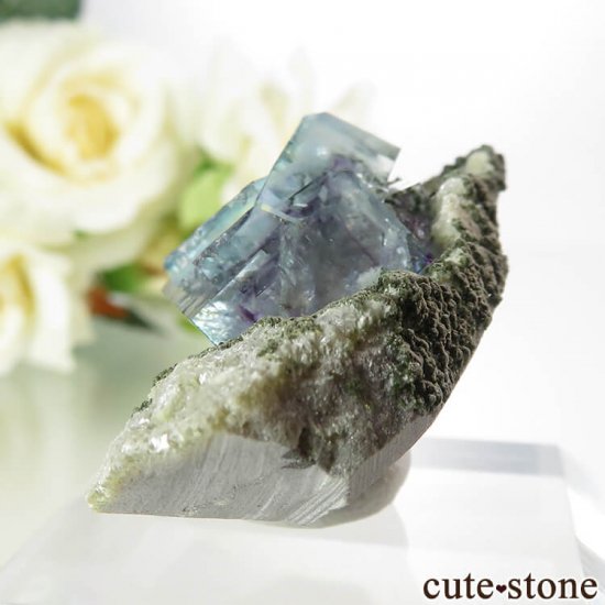 䥪󥷥 ֥롼ե饤 13.6gμ̿1 cute stone