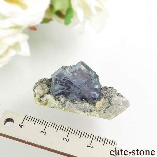 䥪󥷥 ֥롼ե饤 13.6gμ̿3 cute stone