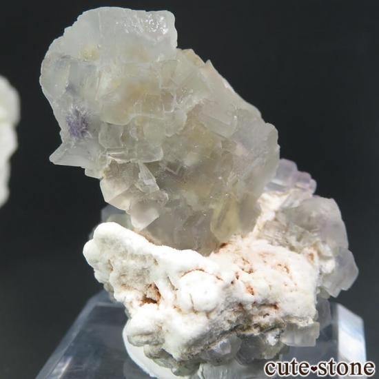 ڥ ե饤Ȥդ뾽ʸС 44.5gμ̿0 cute stone