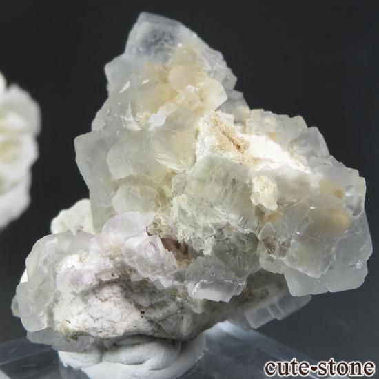 ڥ ե饤Ȥդ뾽ʸС 44.5gμ̿2 cute stone