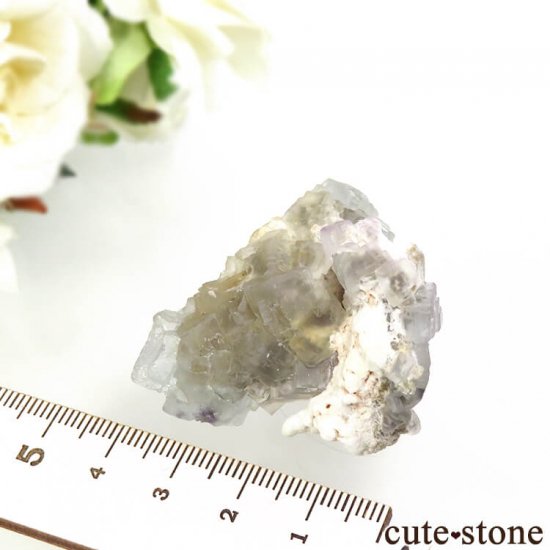 ڥ ե饤Ȥդ뾽ʸС 44.5gμ̿4 cute stone