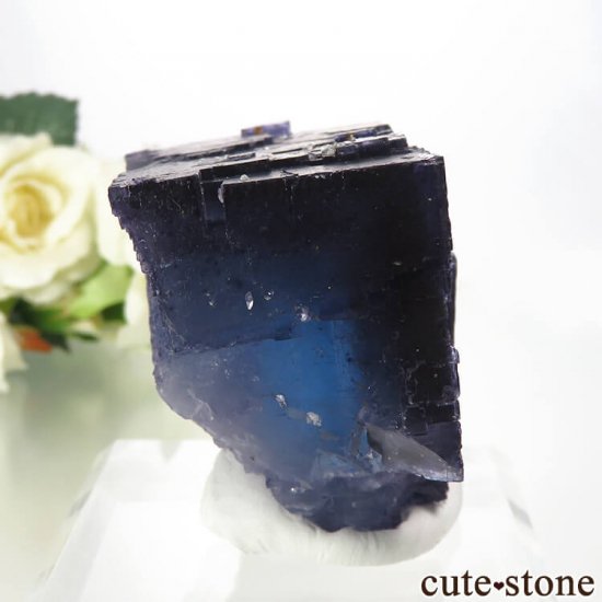 Υ Denton Mine֥롼ե饤Ȥθ 202gμ̿0 cute stone