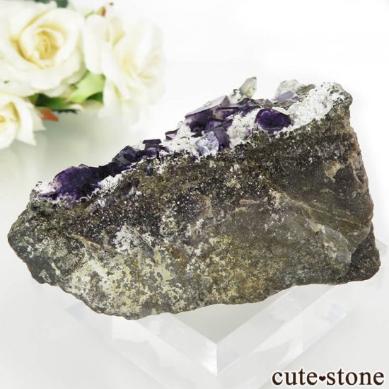  ʻ ѡץե饤ȡĤդ뾽ʸС158gμ̿1 cute stone