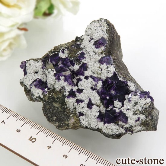  ʻ ѡץե饤ȡĤդ뾽ʸС158gμ̿4 cute stone