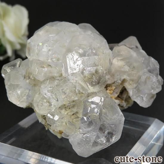  ͥ륹 顼쥹ե饤Ȥդ뾽() 188gμ̿0 cute stone