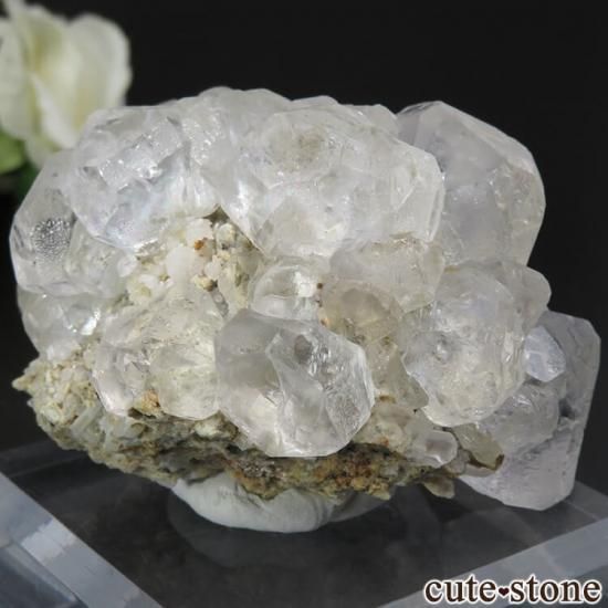  ͥ륹 顼쥹ե饤Ȥդ뾽() 188gμ̿1 cute stone