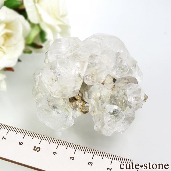  ͥ륹 顼쥹ե饤Ȥդ뾽() 188gμ̿8 cute stone