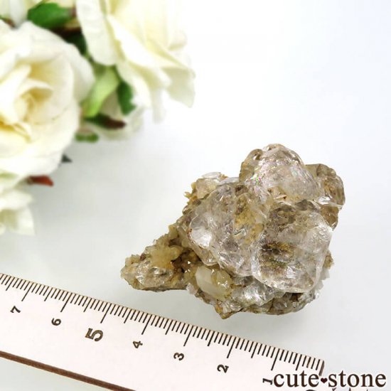  ͥ륹 顼쥹ե饤ȡĤդ뾽() 65gμ̿6 cute stone