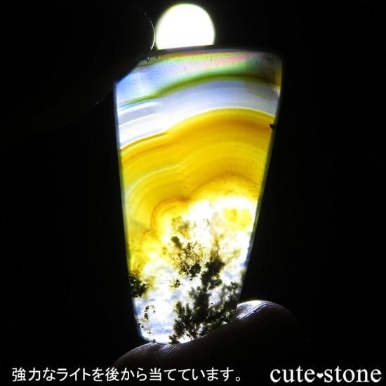 ɥͥ ꥹ⥹ȤΥ饤 4.1gμ̿1 cute stone