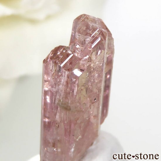 ˻ ԥ󥯡󥸥ȡʥԥ󥯡󥸥󥶥ʥȡˤη뾽ʸС6.1ctμ̿0 cute stone
