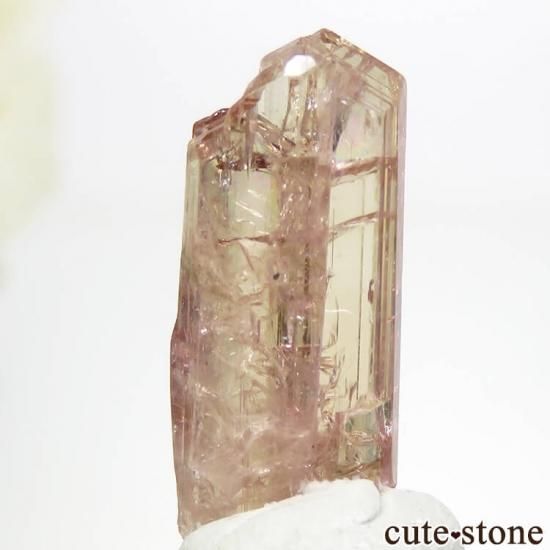 ˻ ԥ󥯡󥸥ȡʥԥ󥯡󥸥󥶥ʥȡˤη뾽ʸС6.1ctμ̿1 cute stone