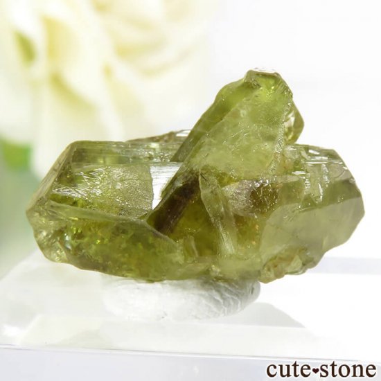 ֥饸 ߥʥ饤 о꥽٥η뾽ʸС 4gμ̿1 cute stone