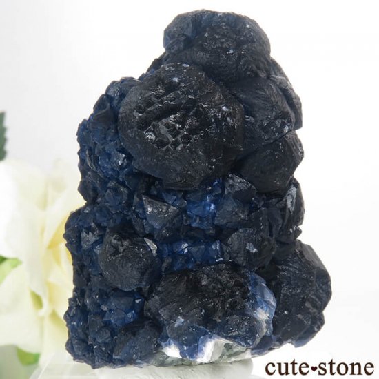  󥴥뻺 Huanggang ǥץ֥롼ե饤ȡĤθ 75gμ̿2 cute stone