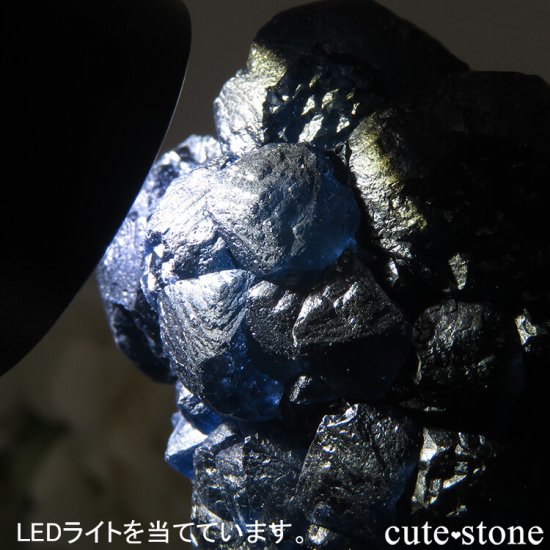  󥴥뻺 Huanggang ǥץ֥롼ե饤ȡĤθ 75gμ̿3 cute stone