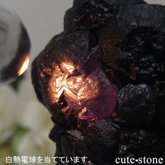  󥴥뻺 Huanggang ǥץ֥롼ե饤ȡĤθ 75gμ̿4 cute stone