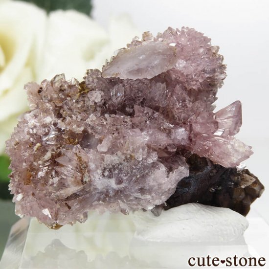 ʻ ꡼(꡼)θ 13.5gμ̿1 cute stone