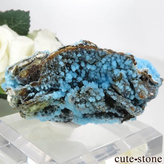  ʻ ֥Ȥդ뾽ʸС 27.8gμ̿1 cute stone