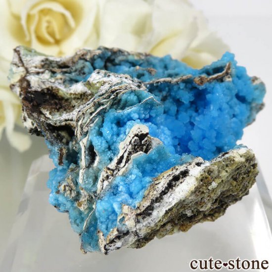  ʻ ֥Ȥդ뾽ʸС 29.4gμ̿0 cute stone
