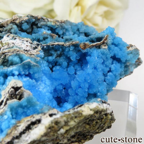  ʻ ֥Ȥդ뾽ʸС 29.4gμ̿3 cute stone
