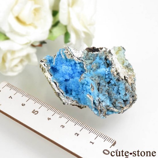  ʻ ֥Ȥդ뾽ʸС 29.4gμ̿4 cute stone